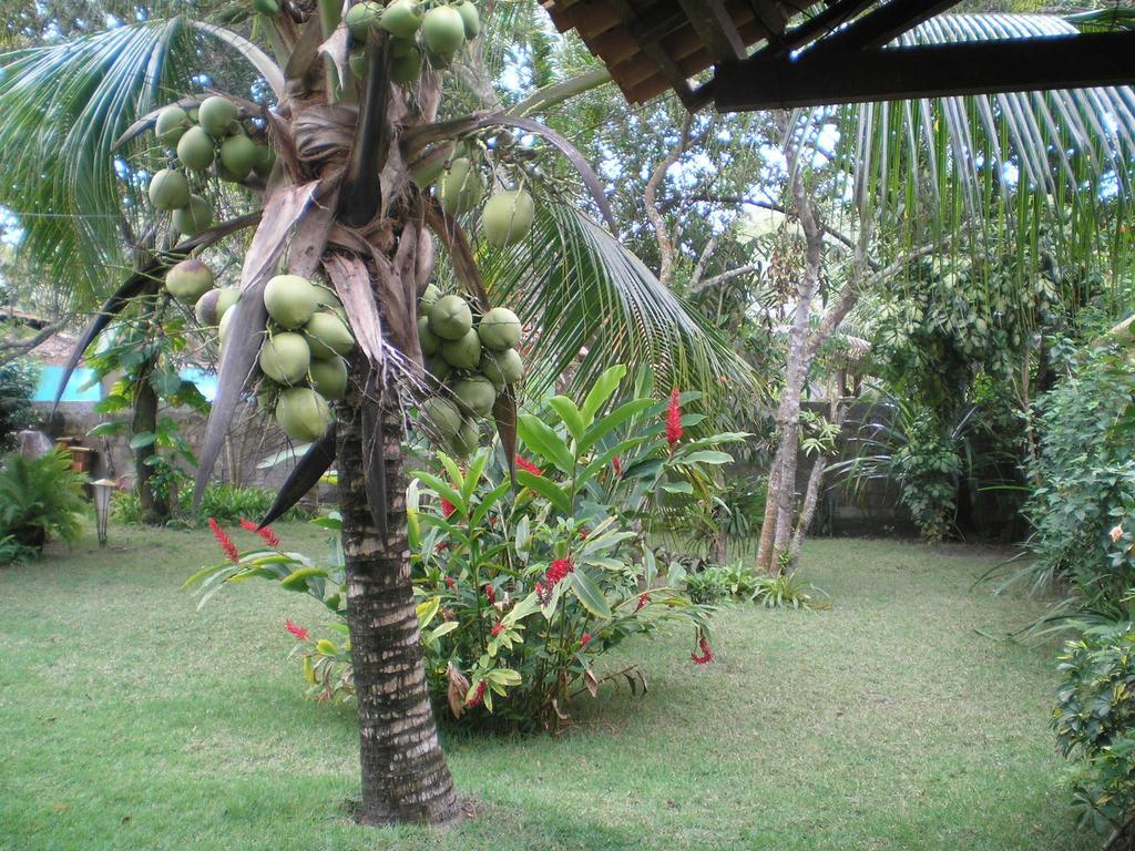 Casa Da Duda Villa Porto Seguro Phòng bức ảnh